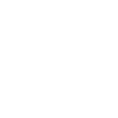 Logo Diamant FWI